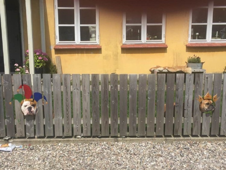 Собаки гавкают друг на друга