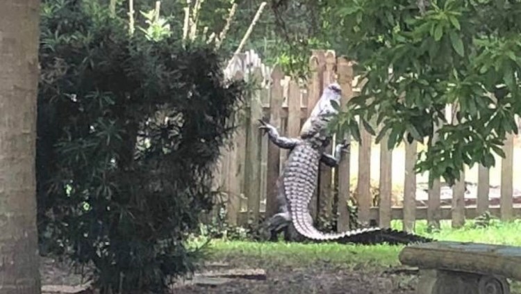 Фигуры из фанеры для дачи