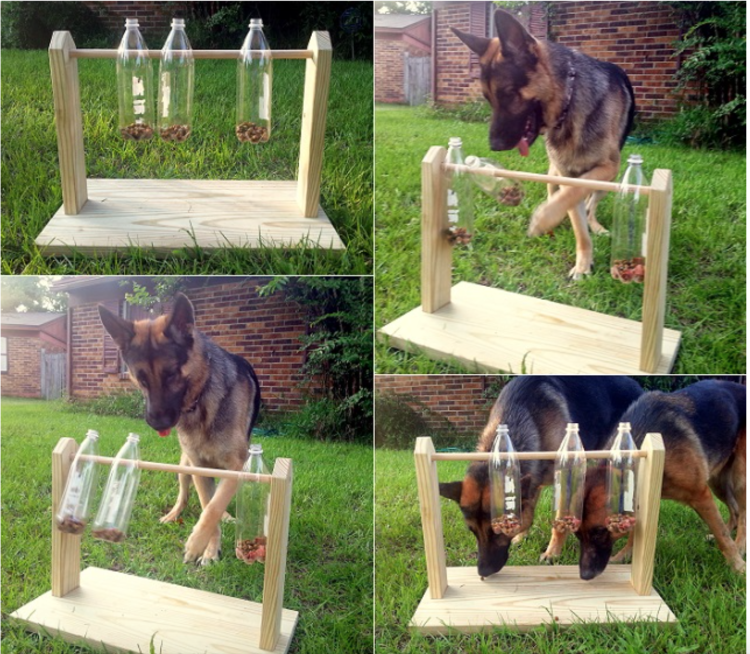 Игрушки для собак во дворе