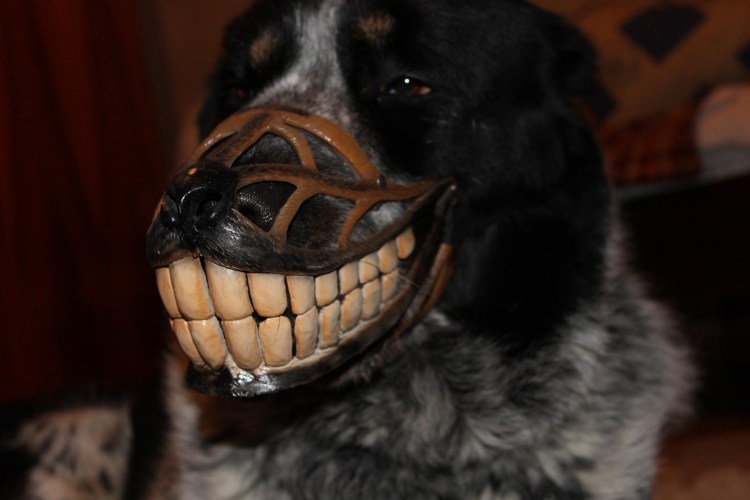 Железный намордник для алабая