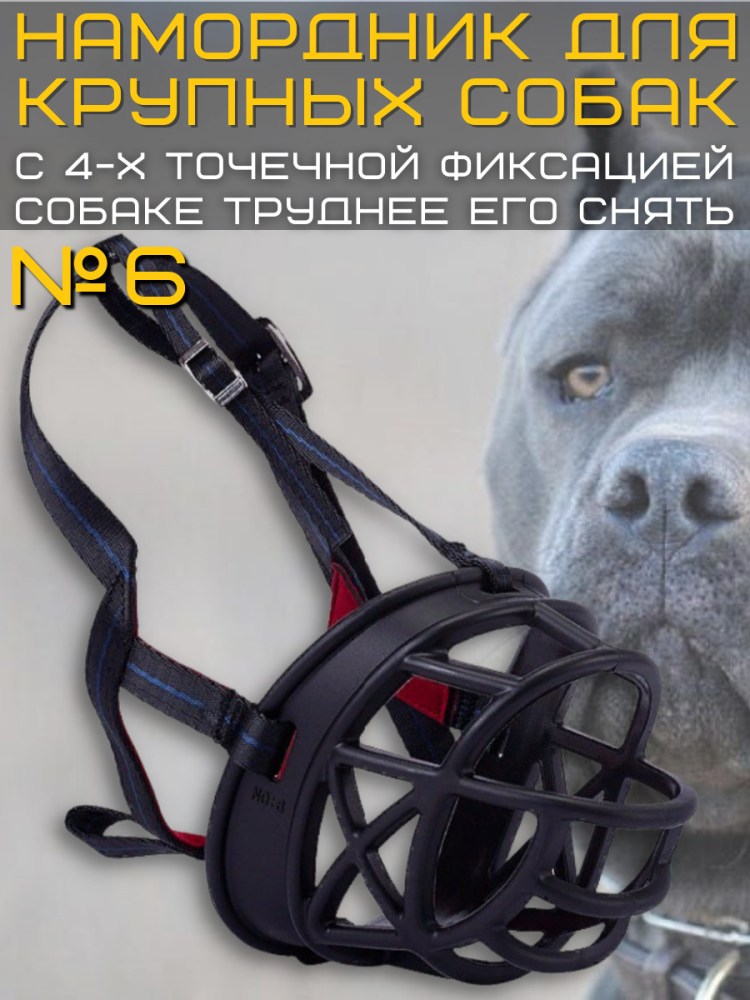 Намордник для сенбернара Орион