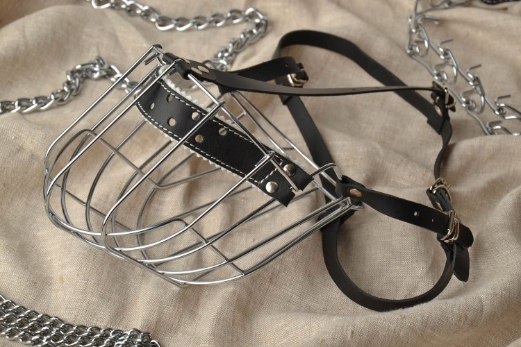 Девушка в собачьем наморднике