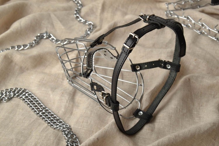 Металлический намордник для алабая