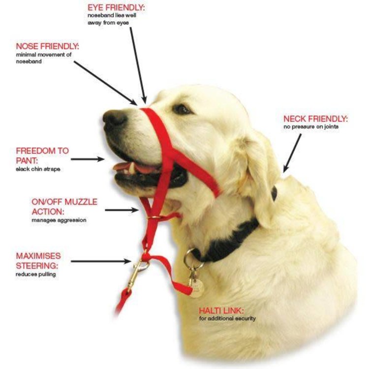 Намордник Баскервиль ультра