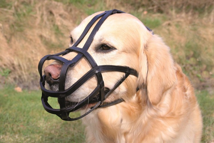 Трикси намордник Muzzle Flex