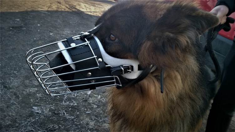 Намордник Baskerville Ultra Muzzle