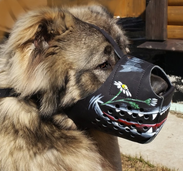 Намордник антилай