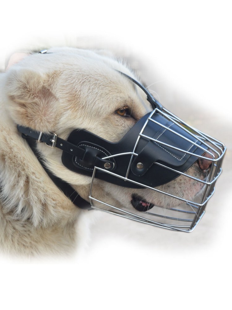 Металлический намордник