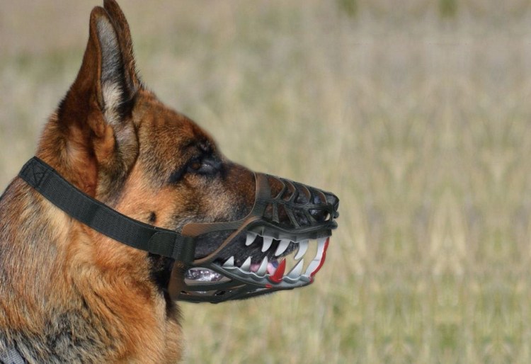 Намордник Бейна для собак