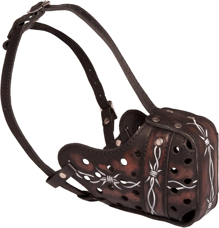 Приют в Новосибирске для САО