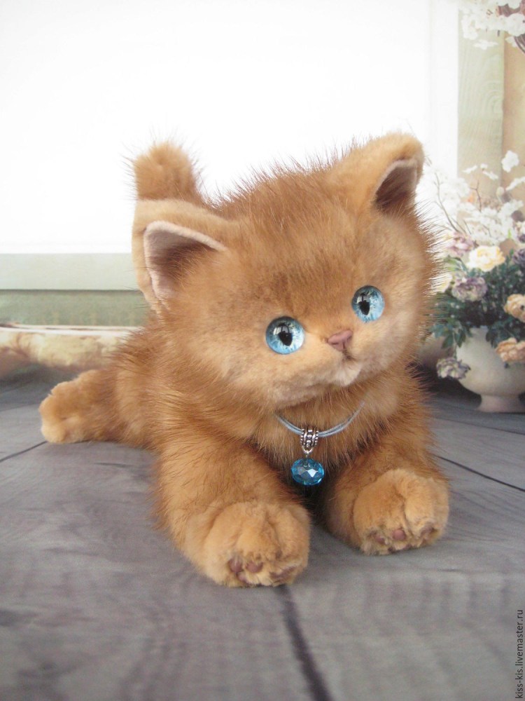 Рыжий кудрявый кот