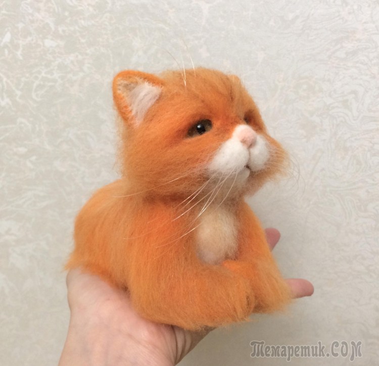 Мягкие рыженькие кошечки