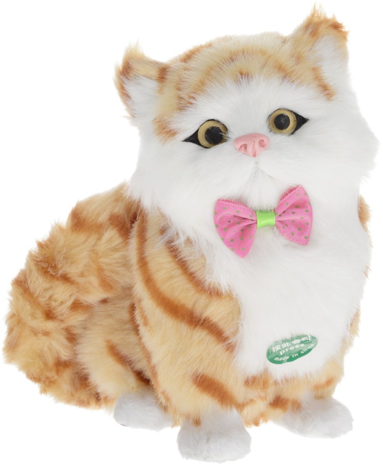 Британский короткошерстный кот рыжий