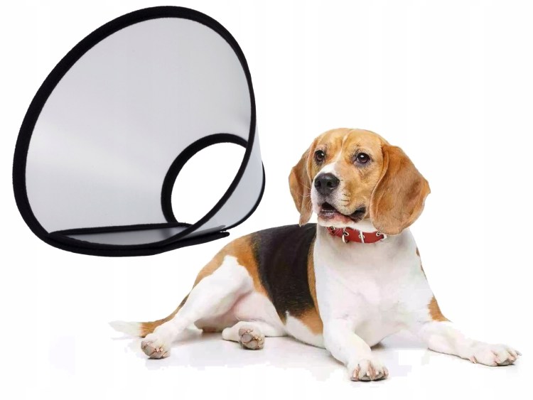 Kruuse защитный воротник 30 см