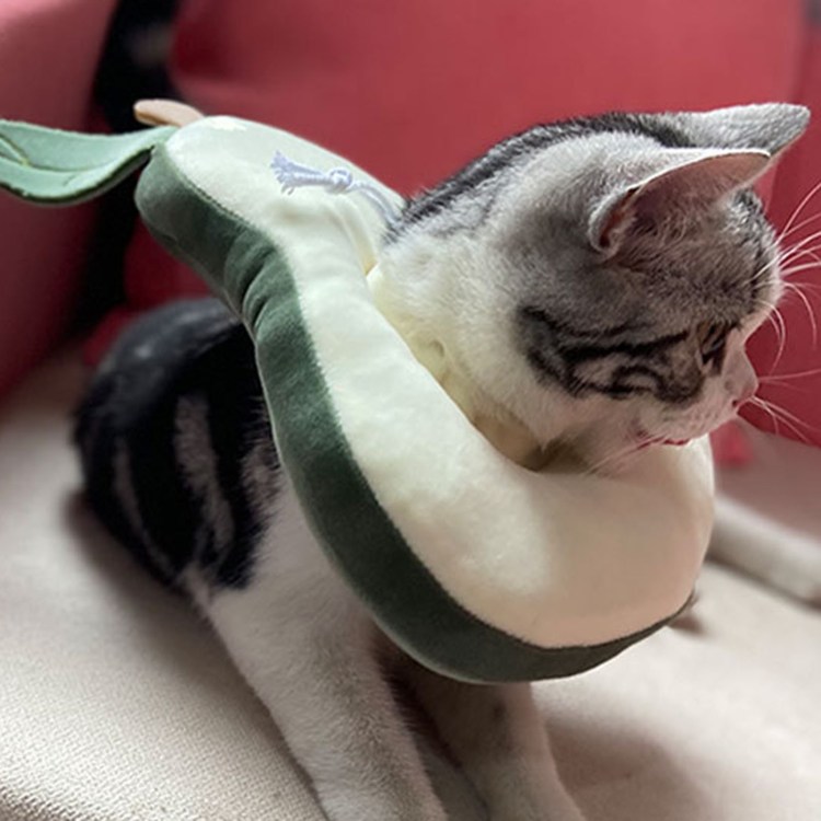 Apple Air tag for Dog