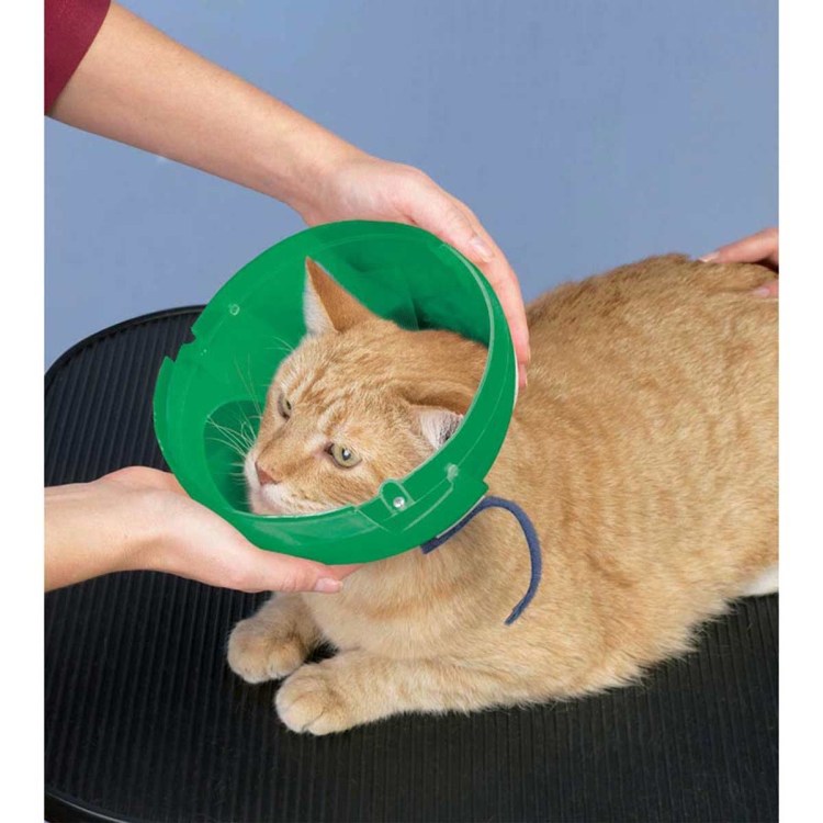 Воротник для кота