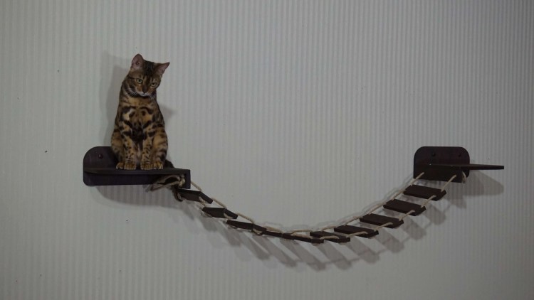 Воротник Kruuse/Buster защитный 25см