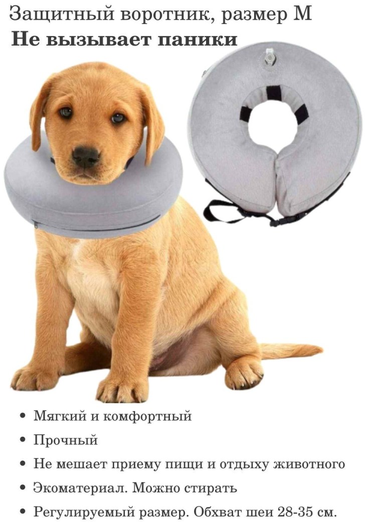 Елизаветинский воротник. Елизаветинский воротник