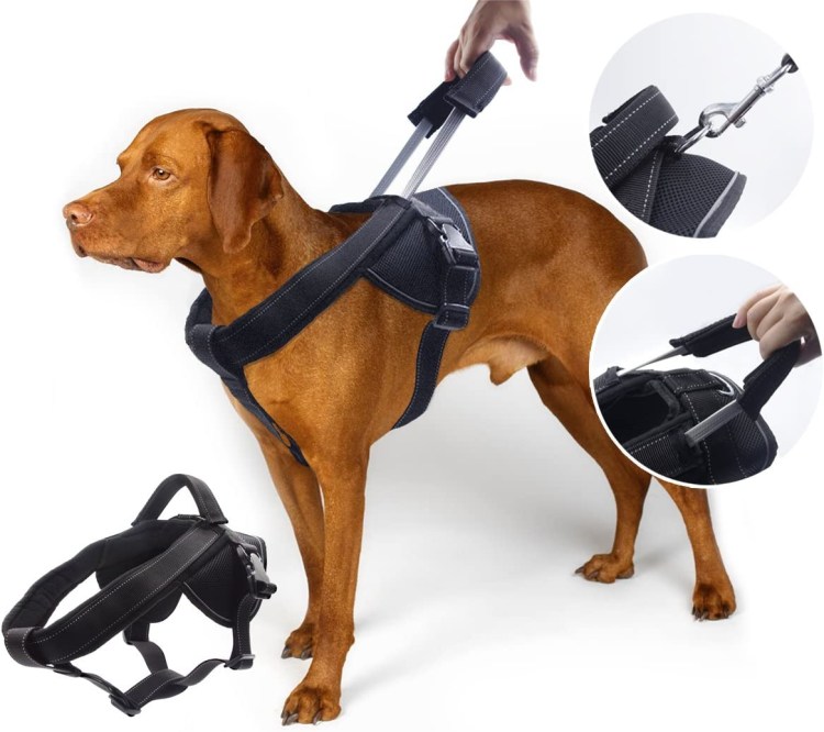 Шлейка Жиллет для собак крупных пород.