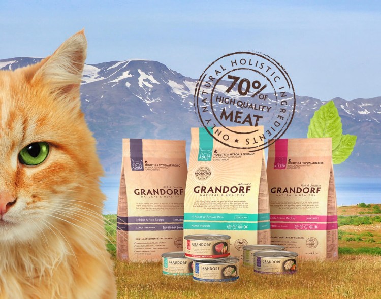 Корм для кошек холистик супер премиум класса