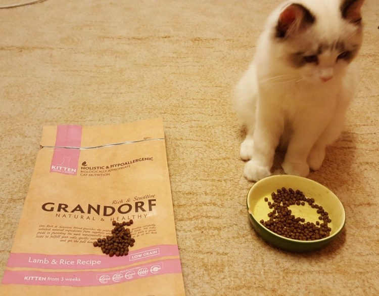 Корма для кошек супер премиум и холистик