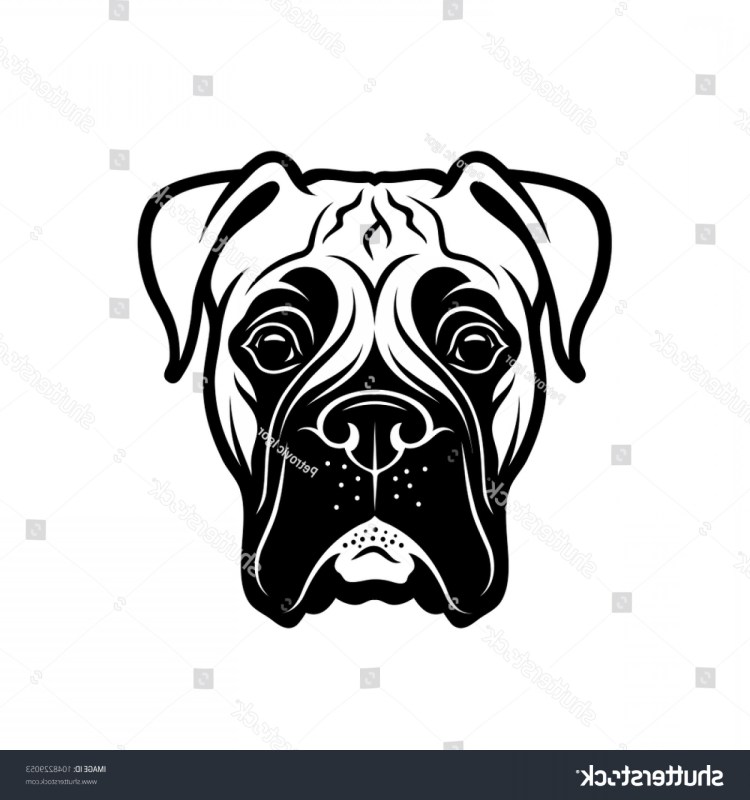 Бульдог Катахулы фото