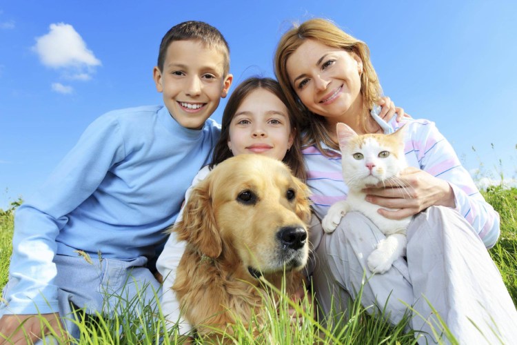 Семья с собакой