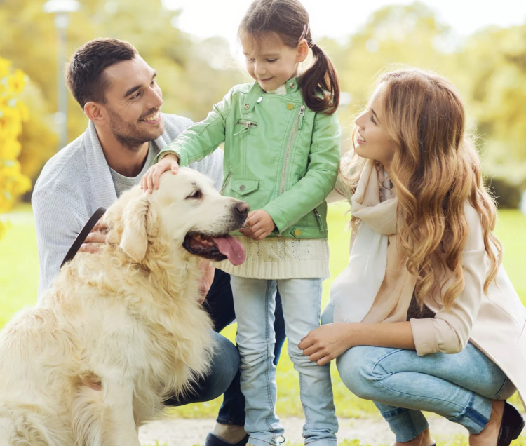 Хозяин собаки