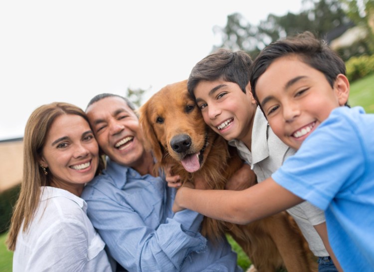 Маленькие собаки для детей