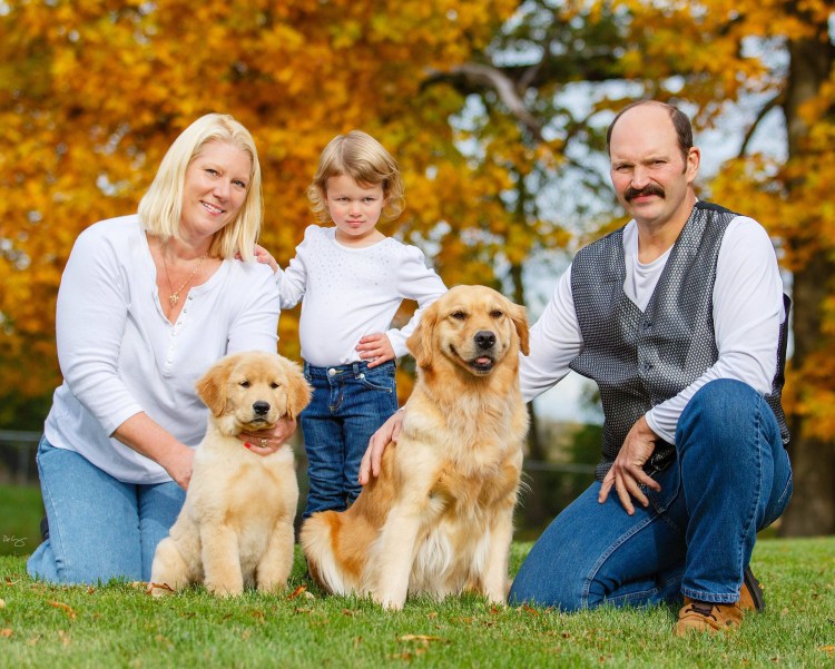 Голден ретривер семья