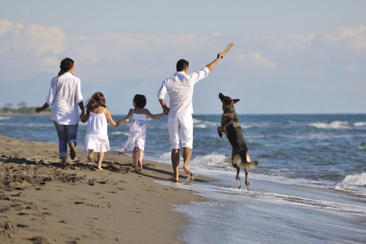 Забота о домашних животных