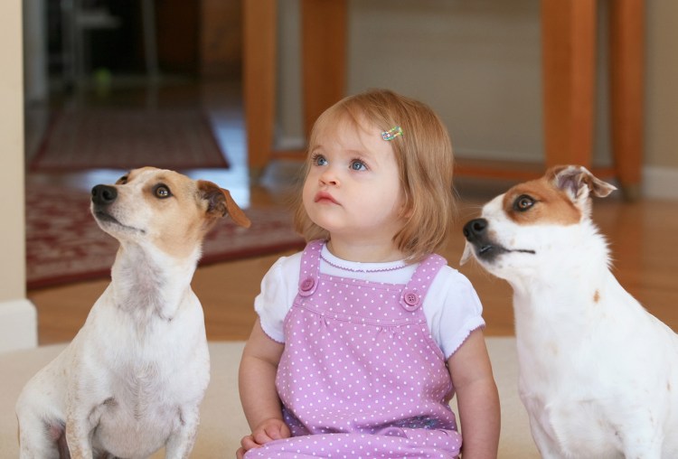 Малыш и собака
