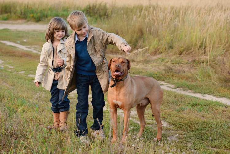 Собаки для семьи с детьми