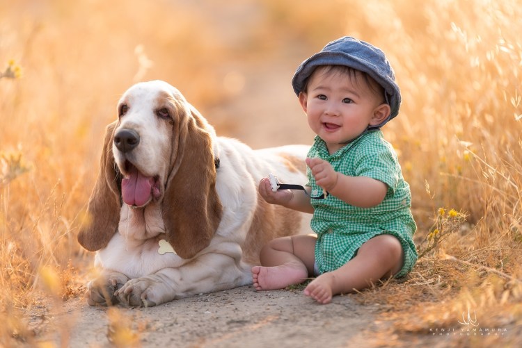 Собаки для семьи с детьми