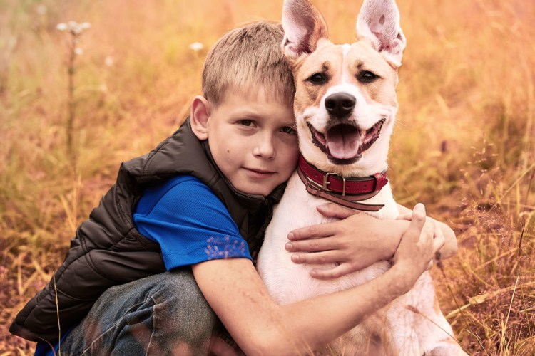 Собаки для семьи с детьми