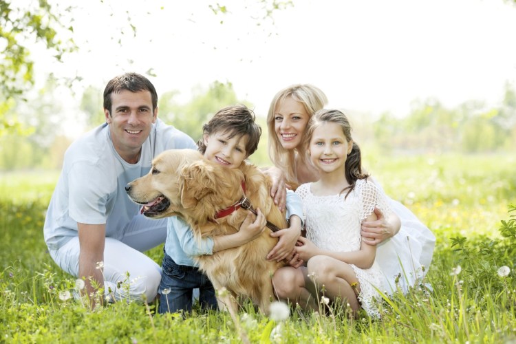 Бигль в семье