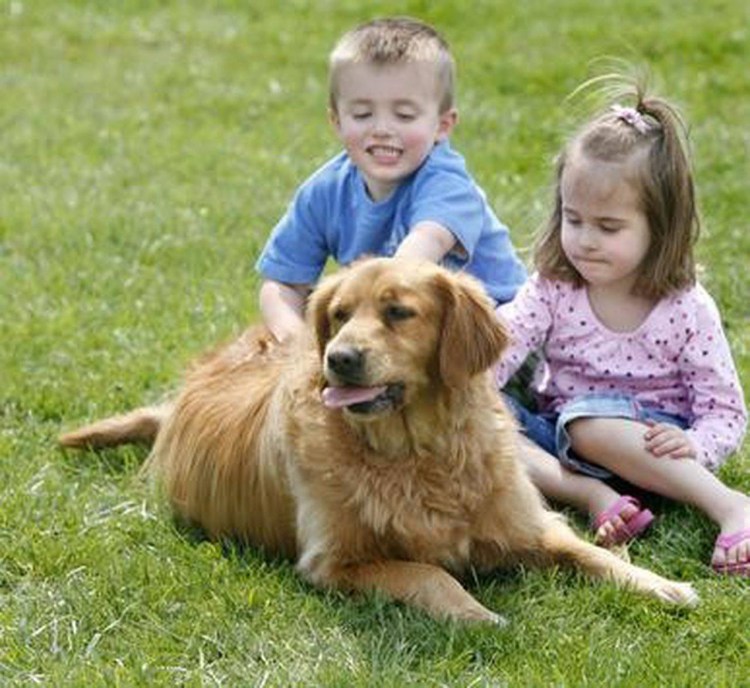 Бигль с ребенком