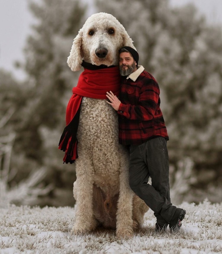 Семья с собакой в квартире