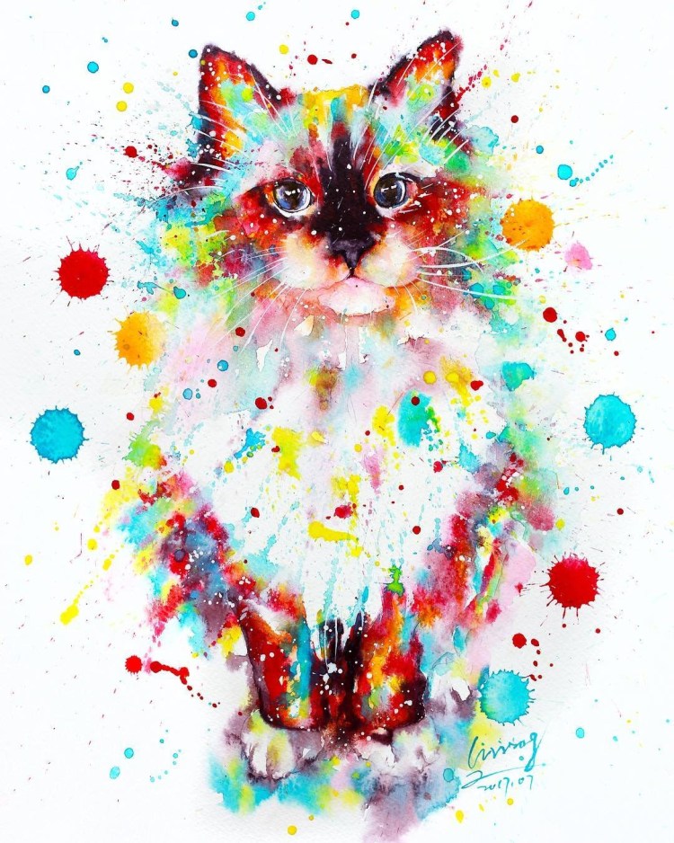 Разноцветный кот