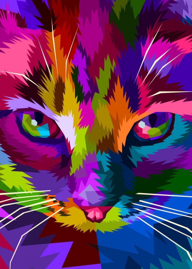 Разноцветный кот