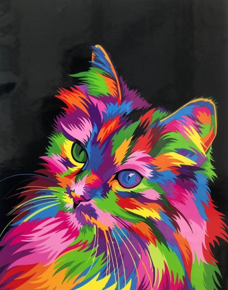 Радужный кот