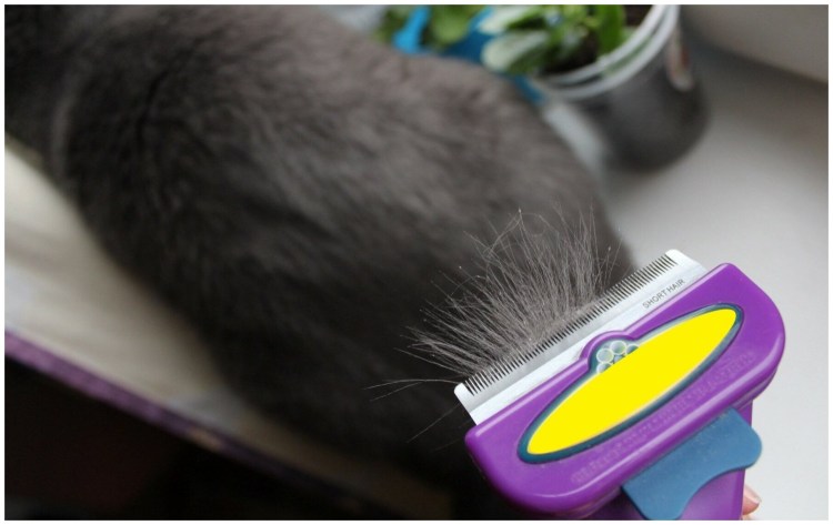 Массажная щетка FURMINATOR Dual Brush