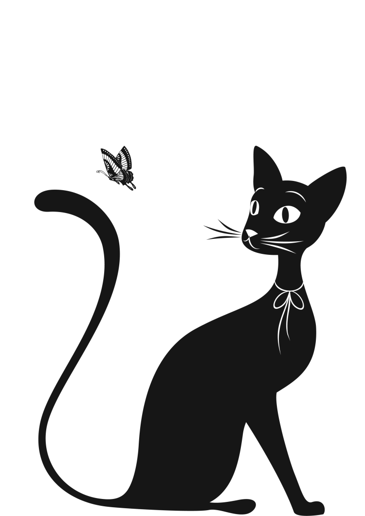 Черный кот идет