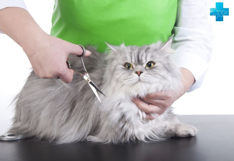 Мозер Макс 50 машинка для стрижки