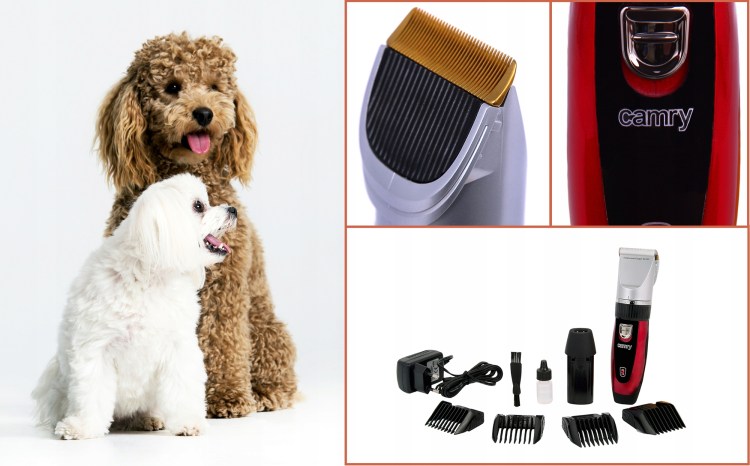 Стрижка пушистых котов