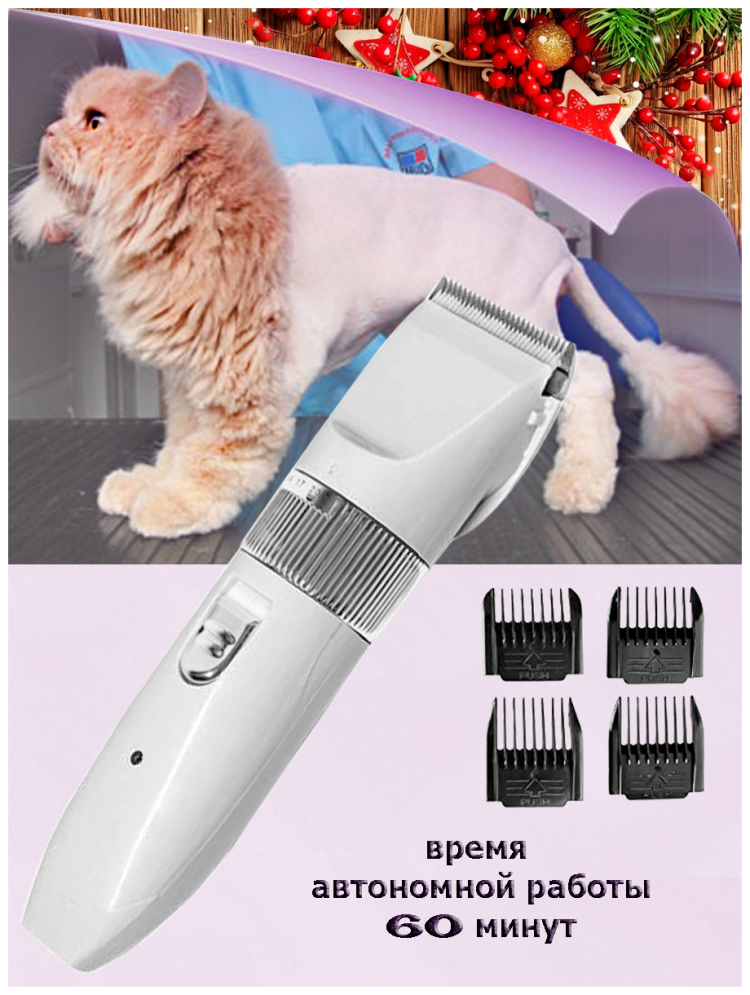 Необычные стрижки кошек