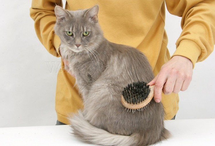 Машинка для стрижки Lili ZP-295