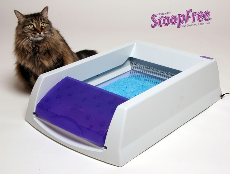 Самоубирающийся туалет для кошек