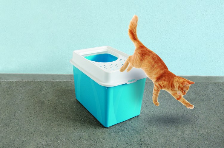 Туалет для кошек Rotho Berty