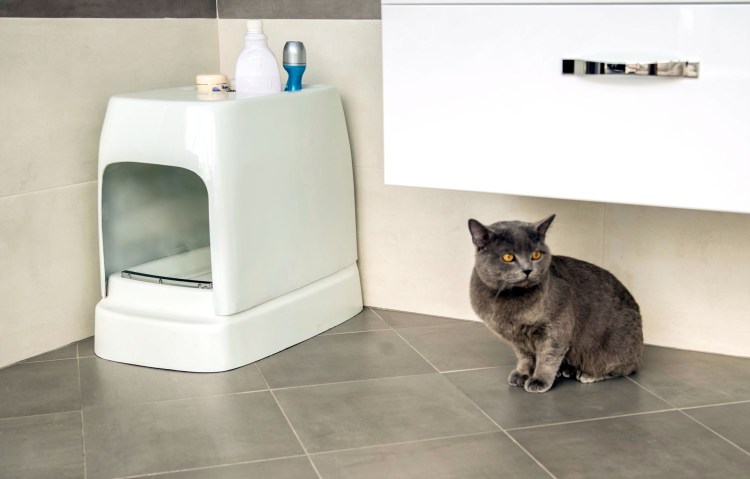 Автоматический унитаз для кошек Catolet